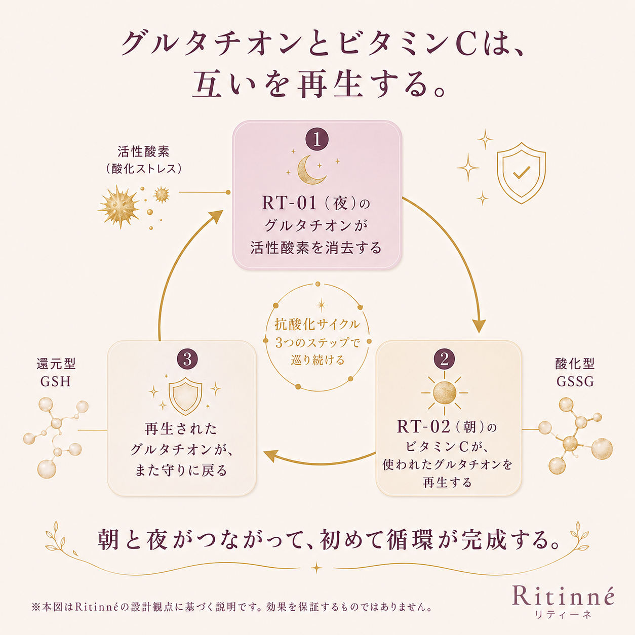 Complete Ritual ─ 朝夜セット